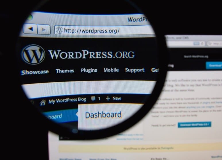 bí mật về WordPress